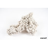 NEW RECIF Roche sèche 1kg