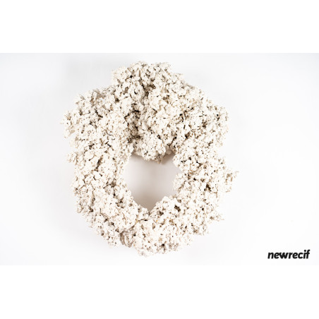 NEW RECIF Roche sèche 0.5kg