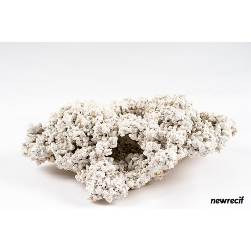 NEW RECIF Roche sèche 0.5kg