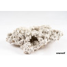 NEW RECIF Roche sèche 0.5kg