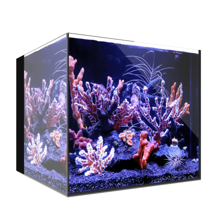 Waterbox AIO 20 CUBE