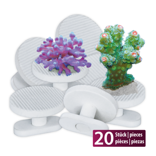 AQUA-MEDIC Frag pins 20 unités diam 32mm