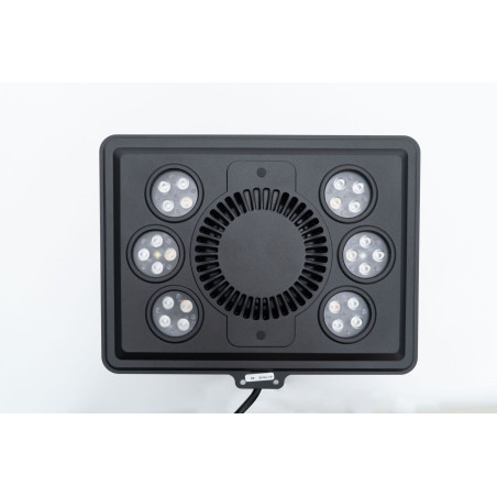 MAXSPECT Jump MJ-L260 Blue LED