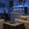 Insight PRO - Aquarium Information Display écran d'information