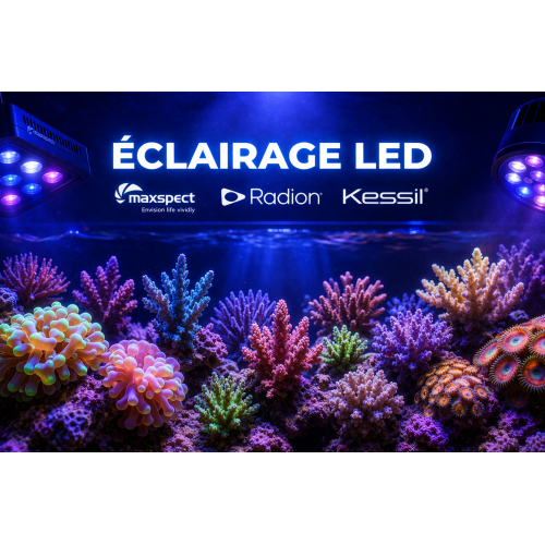 Éclairage LED récifal : Maxspect, ATI, AI | Créati'Récif